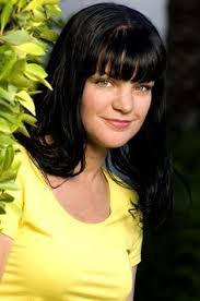 pauley perrette