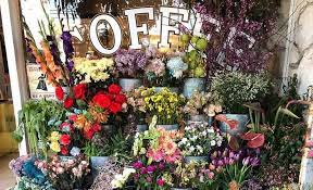 We did not find results for: 9 Places To Buy Beautiful Flowers Around Los Angeles Secret Los Angeles