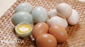 Telur Ayam Vs Telur Bebek Di Dalam Masakan