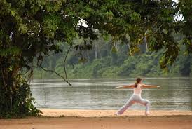 We did not find results for: Berg En Dal River Resort Pristine Rainforest Tours