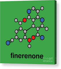 Image result for Finerenone