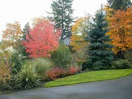 For instance, a few lovely plants and flowers can only enhance a panoramic view over a vast green landscape.{found on jgsdesigns}. Plantings Privacy Landscaping Landscaping Screen Privacy Plants