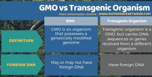 Let's break apart the word: Difference Between Gmo And Transgenic Organism Compare The Difference Between Similar Terms