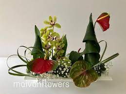 Check spelling or type a new query. Art Floral Ikebana Mai Van Thai Thomas Composition Florale Pour Noel Creee Par Thai Thomas Mai Van Professeur D Ikebana Ikenobo Representant Officiel Manakofloweracademy En France Et Au Vietnam Merci De Telephoner