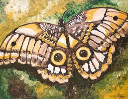 Owl Butterfly by Gail Cali
