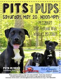 Find your furever friend today. Wednesday S Pet Is Krank Southern Maryland News Net Southern Maryland News Net