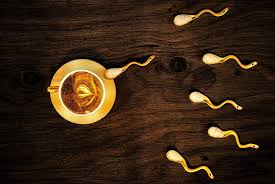 Pero gracias a dios se fue y nadie. Efecto Paterno Del Consumo De Cocaina Sobre La Descendencia Genotipia