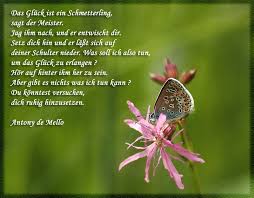 Zitat Eines Geistlichen Lehrer Und Autor Foto Bild Tiere Wildlife Schmetterlinge Bilder Auf Fotocommunity