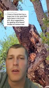 𝙀𝙡𝙞_𝙩𝙝𝙚𝘽𝙚𝙚𝙂𝙪𝙮 (@eli_thebeeguy)