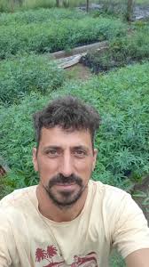 Aliados estratégicos