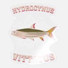 If confirmed, this would restrict h. Hydrocynus Vittatus Tiger Fish River Monster Gift Sticker Spreadshirt