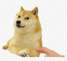 Wow Such Doge Wow Such Doge Wow Such Doge Sticker Sticker Doge Meme Hd Png Download Vhv The best gifs are on giphy. sticker doge meme hd png download