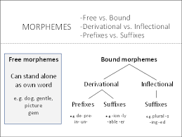 Word Morphology