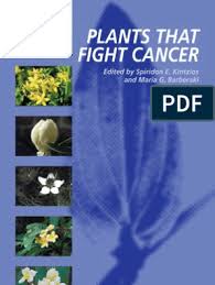 Plants That Fight Cancer Chemotherapy Angiogenesis