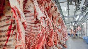 Os consumidores da carne de um animal que morreu . Hxe7jg7sjkxdgm