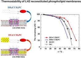 The large combustion plant directive (lcpd, 2001/80/ec) was a european union directive which required member states of the european union to legislatively limit flue gas emissions from combustion plant having thermal capacity of 50 mw or greater. Membrane Properties Of Ether Type Phosphatidylcholine Bearing Partially Fluorinated C18 Monoacetylenic Chains And Their Applicability To Membrane Protein Reconstitution Matrices Sciencedirect