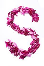 I especially enjoyed the ones that looked like the flowers view of the world. Datei Flower Alphabet S Jpg Wikipedia
