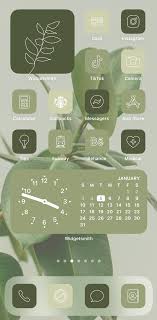 The ios 15 wallpapers look nice on the iphone as well as ipad during the ios 15 presentations. Green Ios 14 App Icons Aesthetic Boho Iphone Covers Widgets Wallpapers Moodique In 2021 App Icon Ios Icon Iphone Photo App