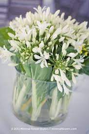 Mimosa Flower Studio Blog Alyssa Jay At Inn On The Twenty In Jordan Flower Studio Flower Arrangements Mimosa Flower
