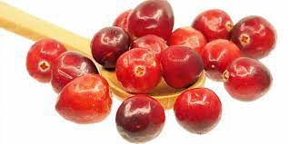 Dried cranberries can last from 6 months to 2 years depending on your method of storage. Do Cranberries Go Bad Pantry Tips