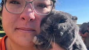 OOPS! Rabbit rescued from chimney in Harford County home