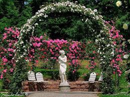 rose garden baden baden germany beautiful baden baden rosengarten rosen und garten