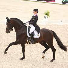 2 604 dressage rider stock video clips in 4k and hd for creative projects. Bernadette Brune International Dressage Rider Home Facebook