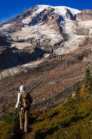 when the glaciers disappear those species will go extinct