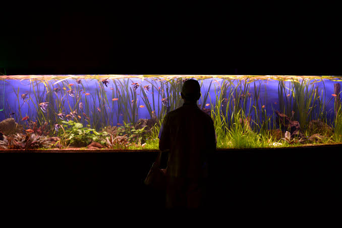 Aquatic Museum Photos, Download The BEST Free Aquatic Museum Stock Photos & HD Images