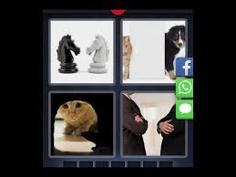 .quatre niveaux de difficulté : 4 Images 1 Mot Niveau 2021 Hd Iphone Android Ios Youtube