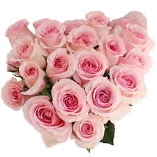 Possible related people for nena rose include david a rose, josiah a rose, robert louis rose, carolyn louise hall, contessa linnae hall, and many others. Fresh Cut Rose Sweet Pink L Fiftyflowers Com