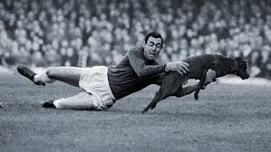 Gordon banks, the original banksy. Gordon Banks Gallery A Remarkable Career In Pictures Sport The Times