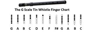 learn how to play the tin whistle easy to follow