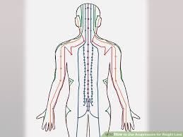 4 Ways To Use Acupressure For Weight Loss Wikihow