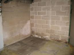 Clean up the solution and any debris with paper towels. Free Download Pin Mold On Basement Concrete Walls 868x651 For Your Desktop Mobile Tablet Explore 49 Cleaning Mold Off Wallpaper Cleaning Mold Off Wallpaper Cleaning Wallpaper Glue Off Walls
