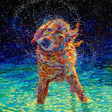 We did not find results for: Shakin Dogs Iris Scott