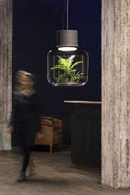 Self Contained Ecosystems Amazing Light Fixtures With Live Plants Inside Plant Lighting Kitchen Lighting Design Farmhouse Style Lighting