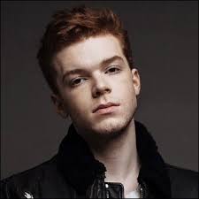In 2004, monaghan landed a recurri. Cameron Monaghan Filmography Movie List Tv Shows And Acting Career