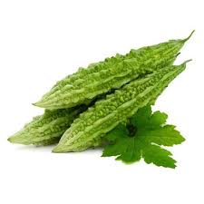 Karela उगाएं grow bag में ( seed till harvesting ). How To Grow Bitter Gourd Seeds