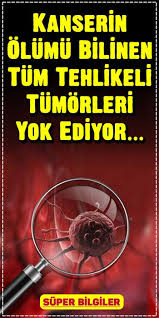 Kanserle Savasan B17 Vitamini Hakkinda Amigdalin Kanseri Iyilestiriyor B17 Vitamini Hakkinda Bilmeniz Gerekenler Bili Dogal Tip Saglik Urunleri Saglik