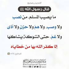Pin By صفحة المسلم لنشر العلم النافع On Hot Schmaltz Math Math Equations