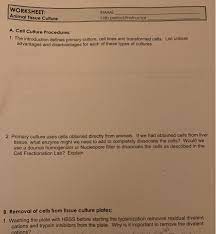 Check spelling or type a new query. Worksheet Animal Tissue Culture Name Lab Chegg Com