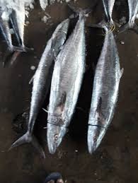 Exotic flavoured salt water fish rich in omega 3 fatty acids cleaned and reviews. Pandugappa Fish And Sea Fishs Packaging Type Box Rs 380 Kg Id 21339368630