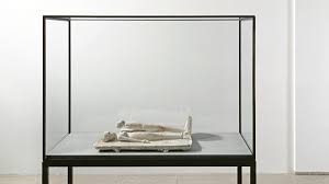Joseph beuys repeatedly participated in the documenta and the venice biennale. Joseph Beuys At Bastian Gallery