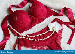 Women`s Lace Underwear of Red, Wine Color: Bra and Panties. Stock Photo -  Image of elegance, elegant: 112964836