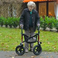 Llll➤ rollator test / vergleich auf oe24.at: Rollatoren Rollator Gehwagen Leicht Schmal Pflege De