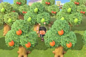 Acnh Tree Farm Google Search In 2020 Planting Fruit Trees Growing Cherry Trees Animal Crossing