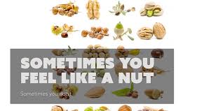 Sometimes you feel like a nut lyrics: Sometimes You Feel Like A Nut