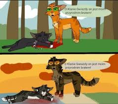 The ninja fr team 100+ project hi1 minecraft projects wakacyjne studio holiday studio. Zawieszone Prosz3 Nie Pisz Tu Nic 5 Warrior Cats Comics Warrior Cat Memes Warrior Cats Books