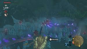 To make this dish in the game, you require having at. Breath Of The Wild Tips And Tricks Shrine Quests Zelda S Palace